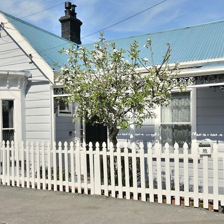 In Dunedin'S Heart, Full House, Full Sun, Full Chill, Why Stay At A Hotel When You Can Afford An Entire House Extérieur photo