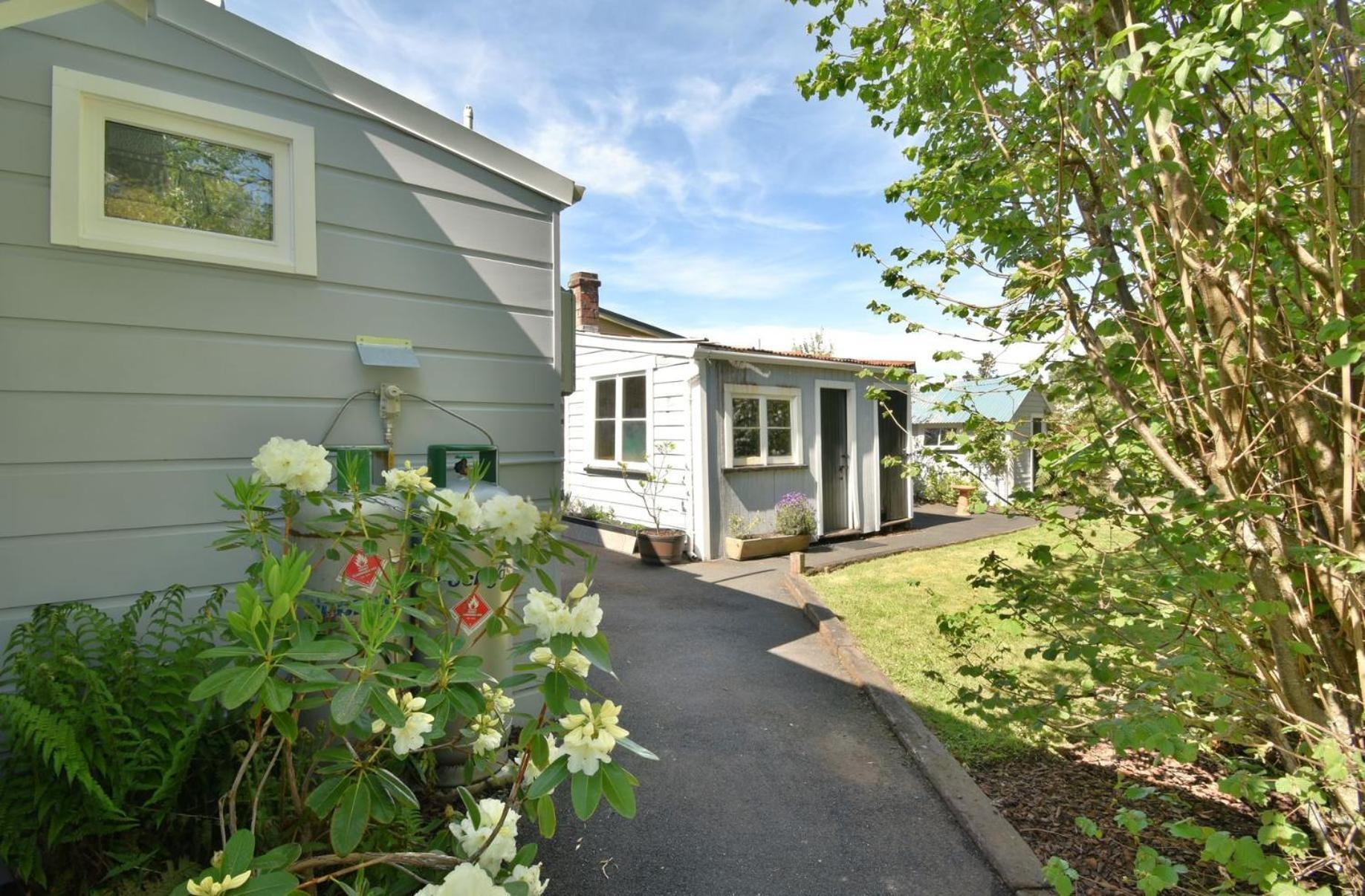 In Dunedin'S Heart, Full House, Full Sun, Full Chill, Why Stay At A Hotel When You Can Afford An Entire House Extérieur photo