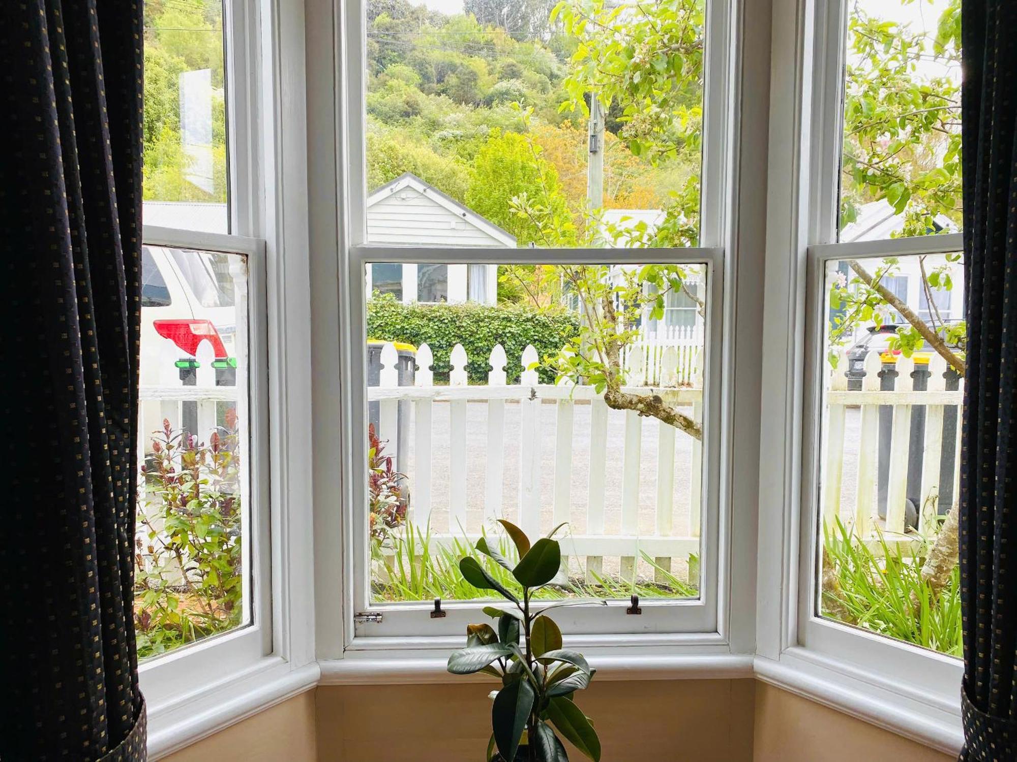 In Dunedin'S Heart, Full House, Full Sun, Full Chill, Why Stay At A Hotel When You Can Afford An Entire House Extérieur photo