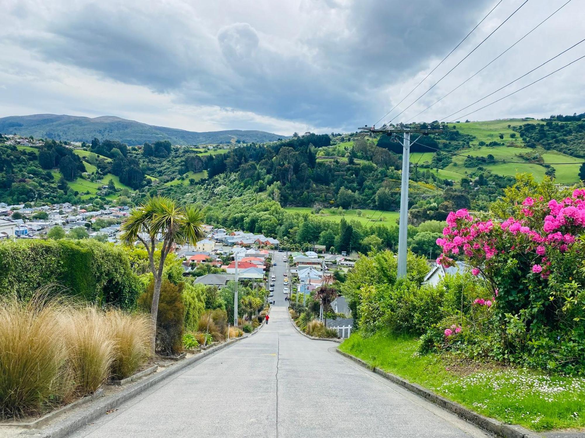 In Dunedin'S Heart, Full House, Full Sun, Full Chill, Why Stay At A Hotel When You Can Afford An Entire House Extérieur photo